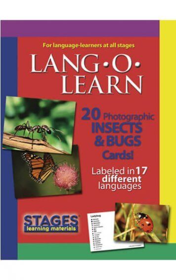 lang-o-learn-insect-and-bugs